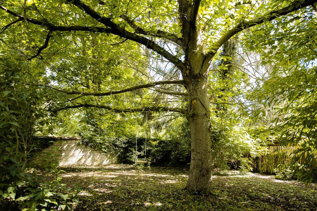 Le Gite Du Jardin Des Secrets Namur Exterior photo